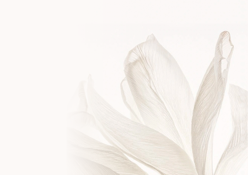 Set di bottiglie di profumo