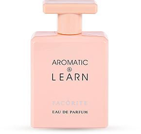 Set di bottiglie di profumo