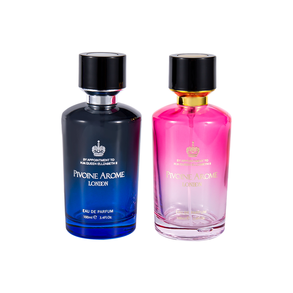 KY1596-WJ2390 Set di bottiglie di profumo in vetro di alta qualità da 100 ml con tappo per profumo in ABS e PP
