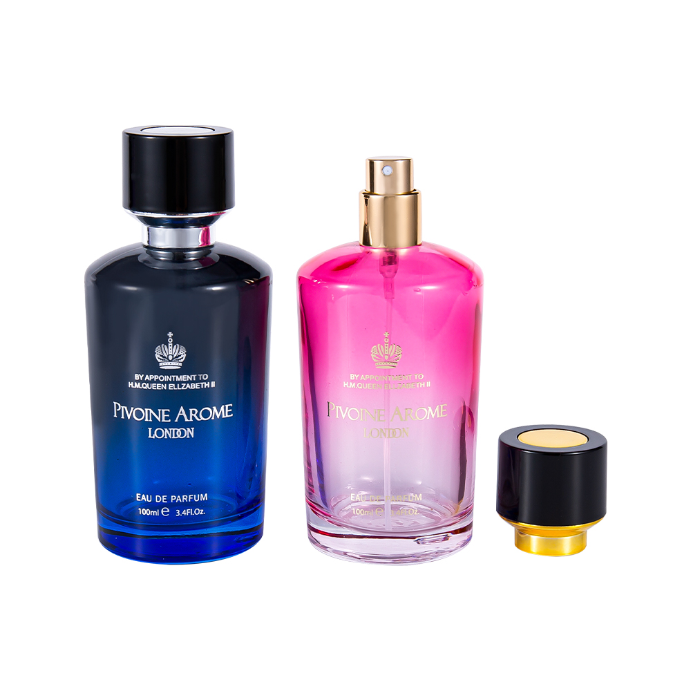 KY1596-WJ2390 Set di bottiglie di profumo in vetro di alta qualità da 100 ml con tappo per profumo in ABS e PP